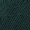 Пряжа Fibranatura Cottonwood 41115 (Хвойный)