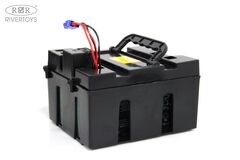 BUGGY E001EE 4WD с дистанционным управлением