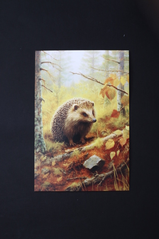 Ежик в лесу