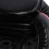 Перчатки Hardcore Training GRT1 Black/Red