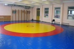 Ковер борцовский трехцветный 12х12м, наполнитель матов НПЭ 120кг/м3, толщина 4см