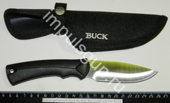 Buck