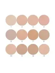 FFleur РР 612 Пудра-основа MIX под макияж компактная тон 01-06 ( 6 тонов)  Loving Care Foundation