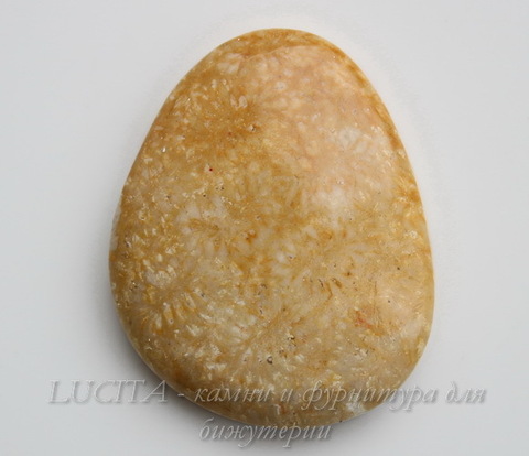 Кабошон Коралл 37,7х30,6х8,1 мм №18 ()
