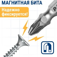 Набор бит ПРАКТИКА Мастер PH2 / PZ2 50мм двусторонняя (в ленте 10 одиночных) (798-126)