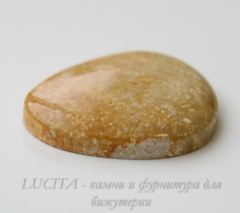 Кабошон Коралл 37,7х30,6х8,1 мм №18 ()