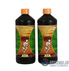 ATA Awa Max А+В