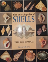Книга encyclopedia of shells, Б/У