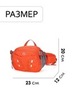 Картинка сумка поясная Ai One 6418 Orange - 2