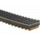 29G3596