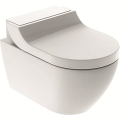 Geberit AquaClean 146.294.11.1 Подвесной унитаз-биде Tuma Comfort фото
