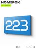 Номер на дверь 223, табличка на дверь для офиса, квартиры, кабинета, аудитории, склада, голубой 120х70 мм, Айдентика Технолоджи
