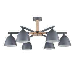 Потолочная люстра Lumion COLANGE 8096/6C