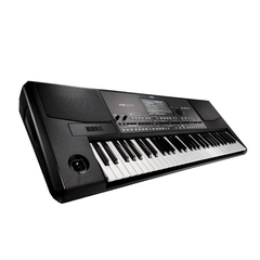 Korg PA300