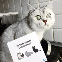 Открытка 