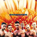 RAMMSTEIN: Herzeleid (Виниловая пластинка)
