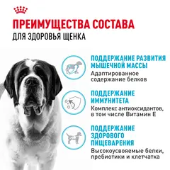 Royal Canin Giant Junior Сухой корм для щенков гигантских пород с 8 до 24 месяцев 17 кг