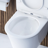 Damixa DX35C1700SC Skyline унитаз подвесной безободковый с сиденьем микролифт