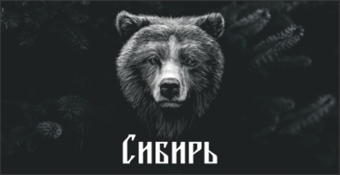 Урал Сувенир - Сибирь кружка керамика 300 мл №0008