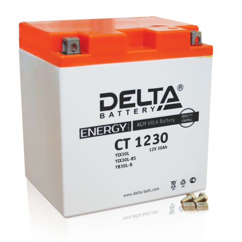 АККУМУЛЯТОР DELTA CT1230 (YIX30L, YB30L-B, YIX30L-BS)