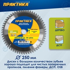 Диск пильный твердосплавный по дереву, ДСП ПРАКТИКА 250 х 32\30 мм, 60 зубьев (032-263)