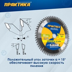 Диск пильный твердосплавный по дереву, ДСП ПРАКТИКА 250 х 32\30 мм, 60 зубьев (032-263)