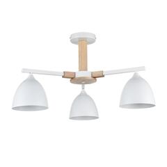 Потолочная люстра Lumion COLANGE 8095/3C