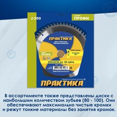 Диск пильный твердосплавный по дереву, ДСП ПРАКТИКА 250 х 32\30 мм, 60 зубьев (032-263)