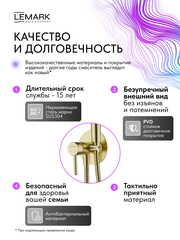 Смеситель Lemark Зенит Zenith LMF-1618S-BRGN с гигиеническим душем, встраиваемый
