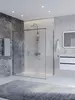 Cezares PLANE-AH-1-160/90-C-IN Душевой уголок