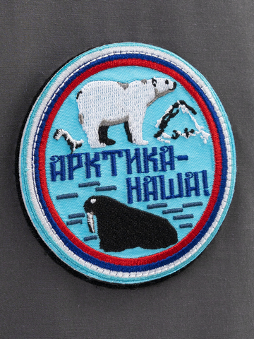 Пуховик «Арктика Наша» цвета серого графита