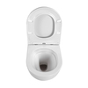 Aquatek SET Aquatek ЕВРОПА T KDI21 SET Aquatek ЕВРОПА T KDI21 (рама Aquatek Standard INS-0000012 с клавишей KDI-0000021 и крепежом KKI-0000002+унитаз AQ1900T-00 с тонким сиденьем sc)