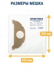 Мешки ПРАКТИКА для пылесосов KARCHER A 2000 - 2099 SERIE, MV 2 горизонтальный, до 12л, синтетика, уп. 2 шт. (798-799)