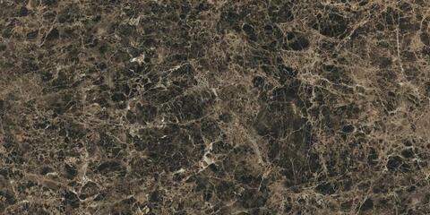 Rex Ceramiche Les Bijoux Marron Imperial Glossy 120x280