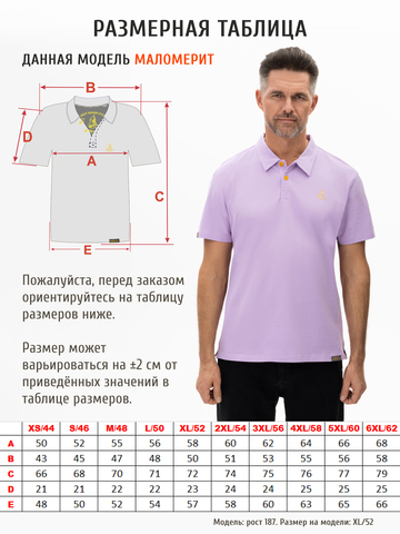Поло лавандового цвета мужское