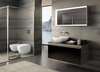 Geberit Citterio 500.570.JJ.1 Зеркало с подсветкой 118.4x58.4см, Серо-коричневый дуб / Меламин, древесная структура