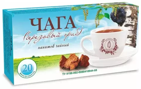 Чага (Березовый гриб)