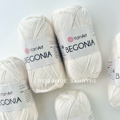 YarnArt Begonia 6282