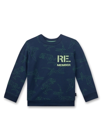 Толстовка Sanetta Kidswear 126339 50399