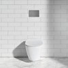 Ideal Standard Oleas M1 R0115AA Механическая панель смыва, двойной смыв