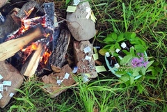 Духи масляные магические 