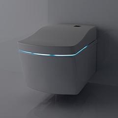 TOTO NEOREST AC TCF996RWG#NW1 Сиденье 423x675x119 мм, с дистанционным управлением, для унитаза: AC CW996P, цвет: белый фото
