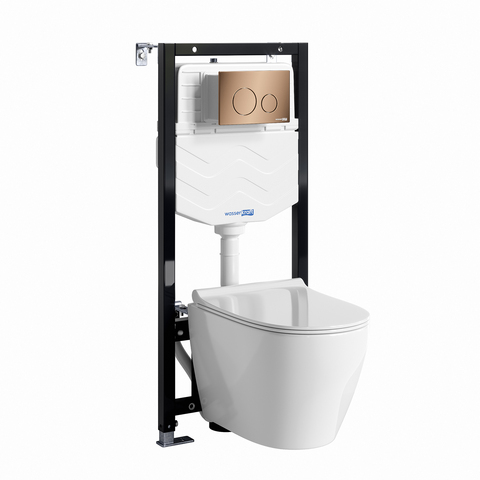 WasserKRAFT Aller 10TLT.010.ME.RG02.H002 Система инсталяции с унитазом