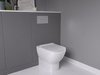 Ideal Standard Oleas R0115JG Клавиша смыва для унитаза хром