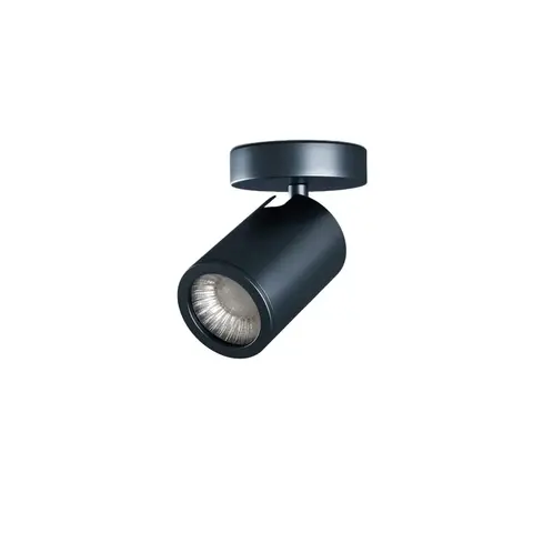 Фото: Потолочный/настенный светильник Noon вороненая сталь - основной вид