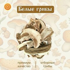 Белый гриб сушеный