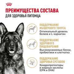 Сухой корм для собак Royal Canin Hepatic при заболеваниях печени 12 кг