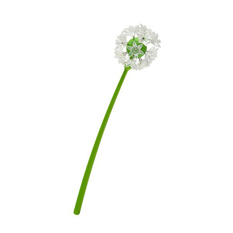 Набор канцелярских кнопок wishpins