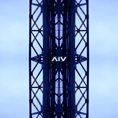 The DIV – SMENA (Digital) (2025)