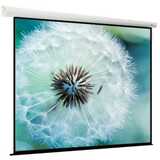 Экран для проектора Viewscreen Breston EBR-1108